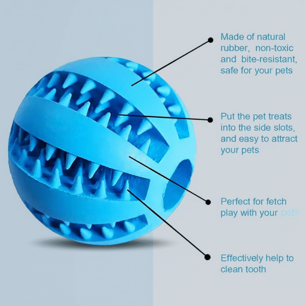 Interactive Dog Chew & Treat Ball