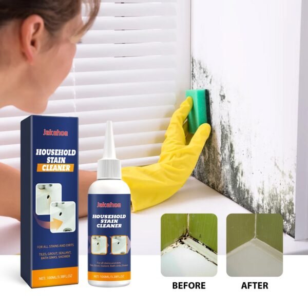 1175BFE14AD099E9BF0C4D67FD33C927.jpg Household Mold & Stain Cleaner
