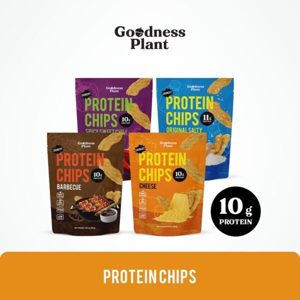 Salty Protein Crunch Chips